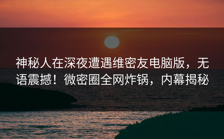 神秘人在深夜遭遇维密友电脑版，无语震撼！微密圈全网炸锅，内幕揭秘