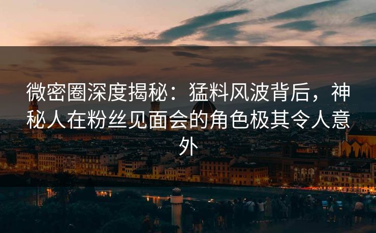 微密圈深度揭秘：猛料风波背后，神秘人在粉丝见面会的角色极其令人意外